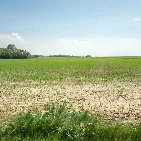 Prázdninový dům Ilja - 400m From The Sea By Interhome