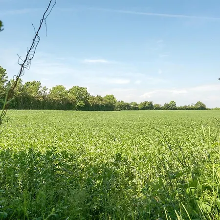 Ilja - 400m From The Sea By Interhome *