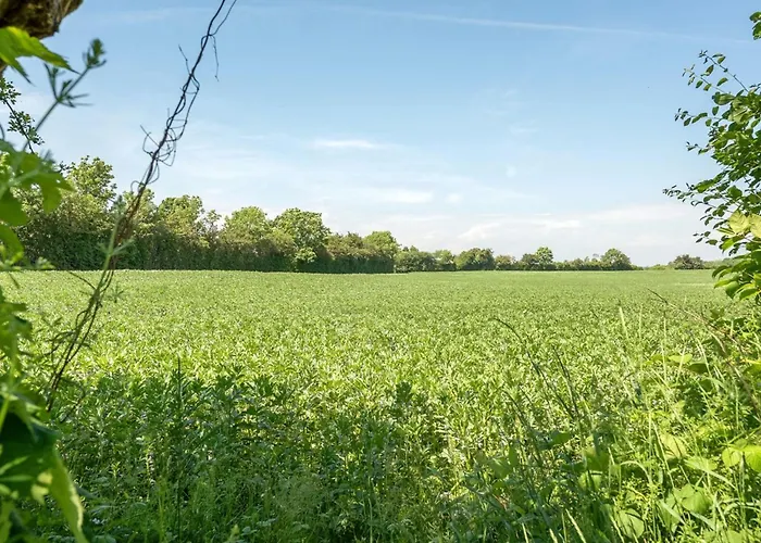 Ilja - 400m From The Sea By Interhome *